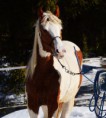 /album/foto/bandi-2-jpg/