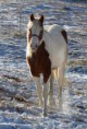 /album/foto/bandi-5-jpg/