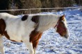 /album/foto/bandi-6-jpg/